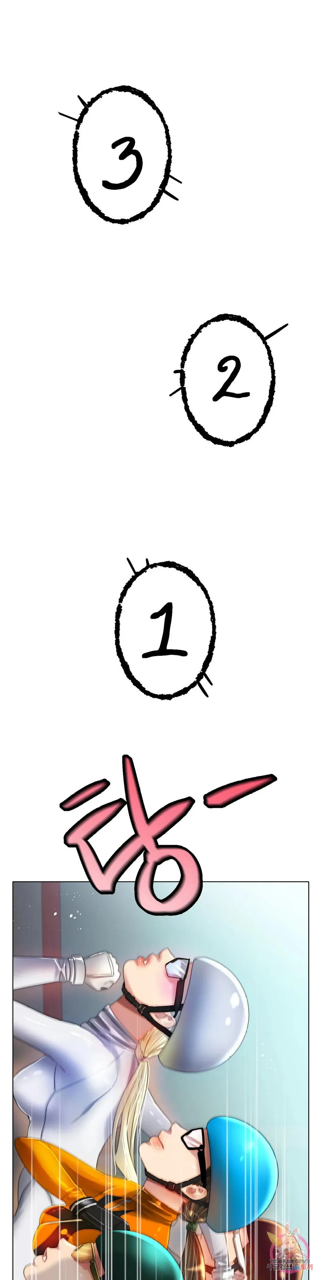 47 (19)